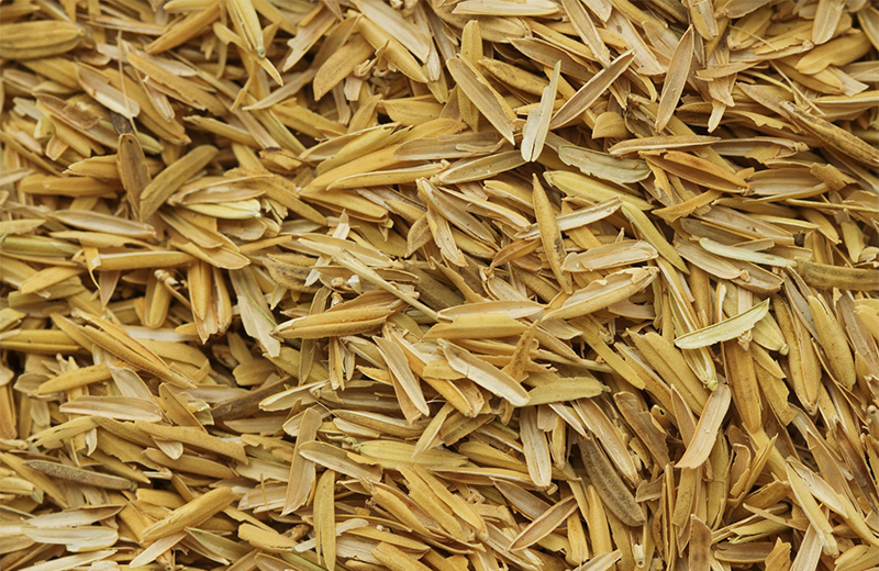Rice Husk